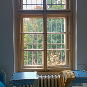 Léčba deprese depresí